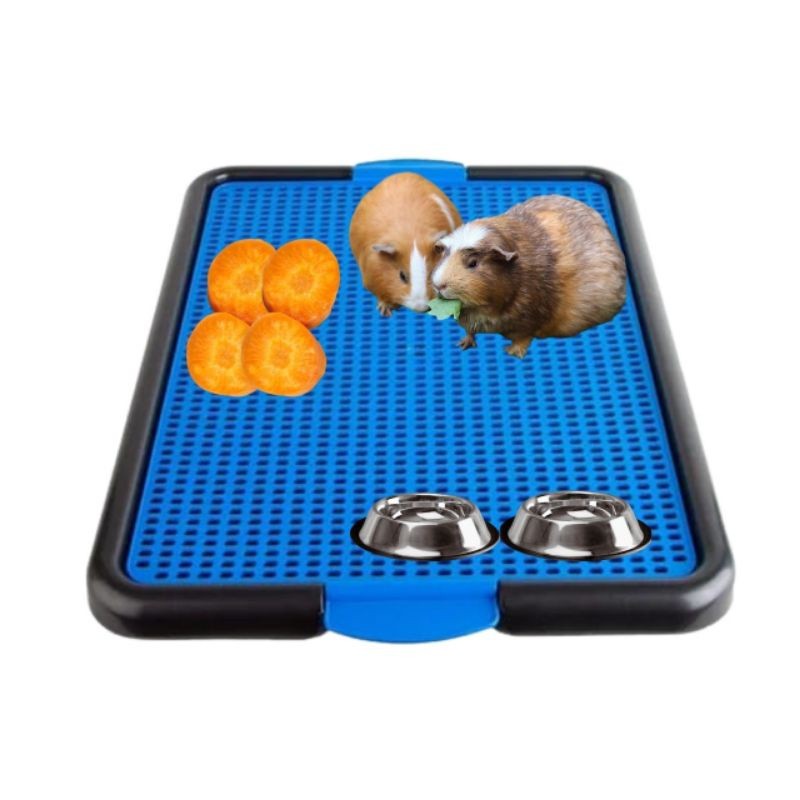 Tapete Banheiro Higiênico para Porquinho da Índia e Coelhos.