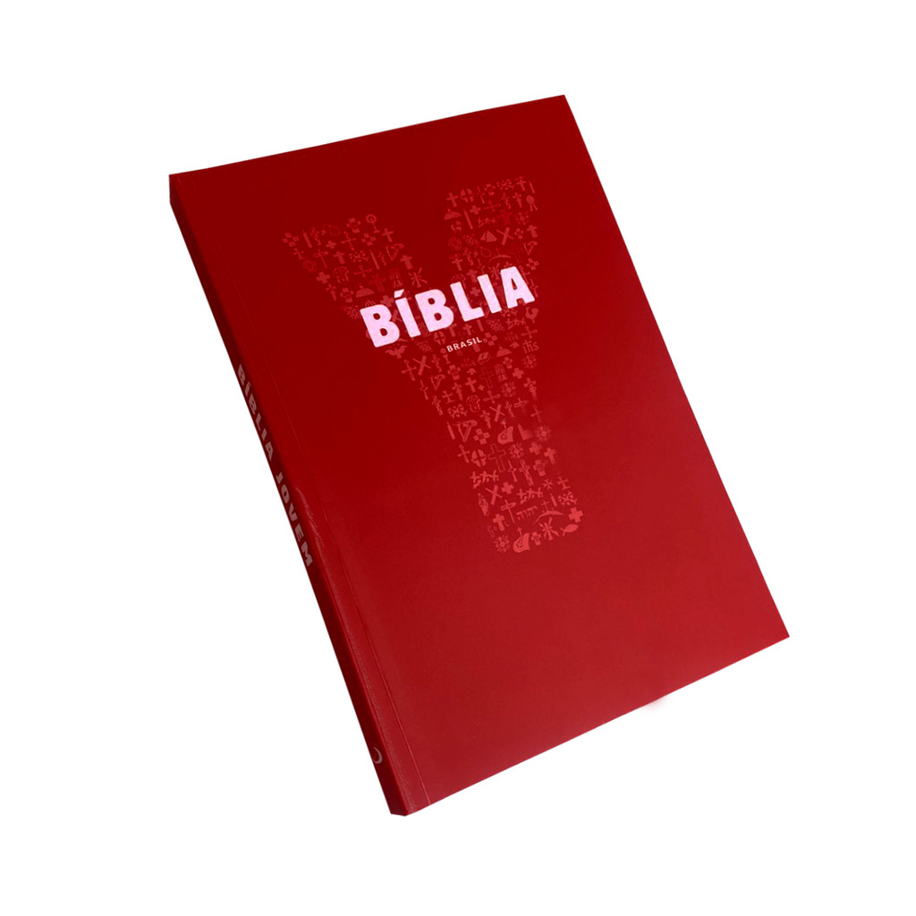 Bíblia Sagrada Ilustrada Catolica: Onde Comprar | BuscaProdutos