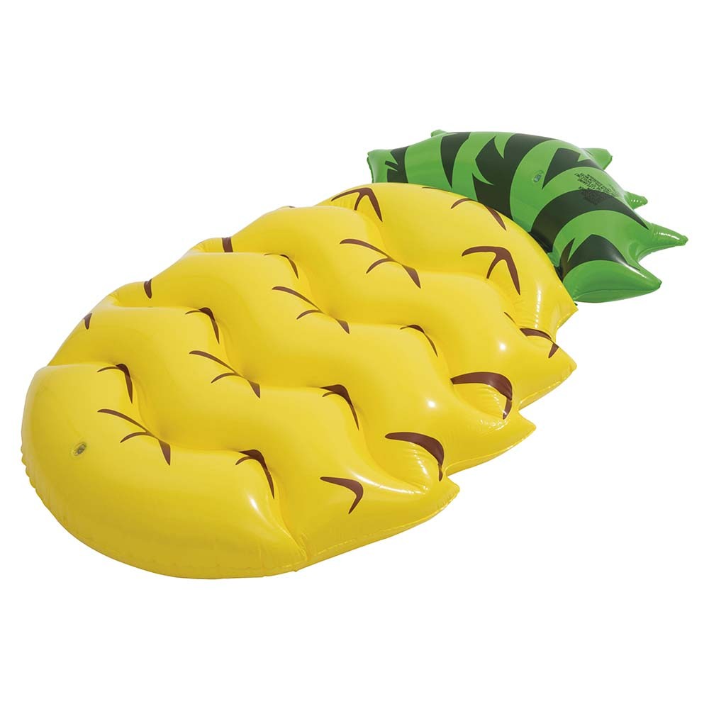 Boia Abacaxi Colchão Piscina Inflavel 154x91cm Mor em Oferta na Shopee