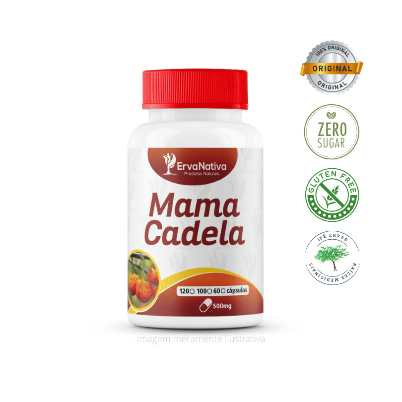 Mamacadela (Mama-Cadela) 100 Cápsulas 500mg - Erva Nativa em Oferta na Shopee