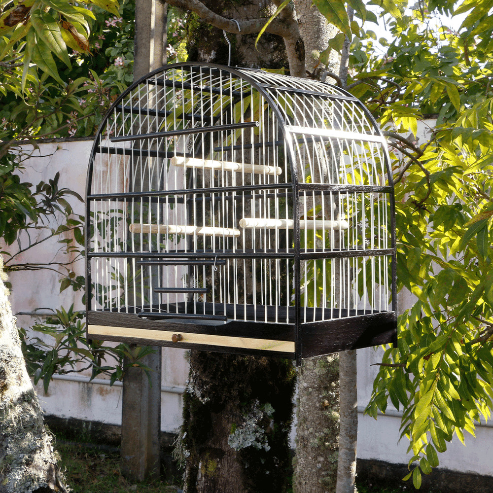 Gaiola Passarinho em Madeira Sabiá/ Pássaro Preto/ Curupião Preta