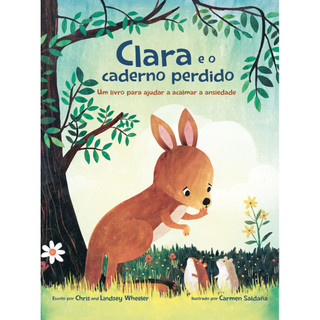 CLARA E O CADERNO PERDIDO UM LIVRO SOBRE COMO ACALMAR A ANSIEDADE em Oferta na Shopee