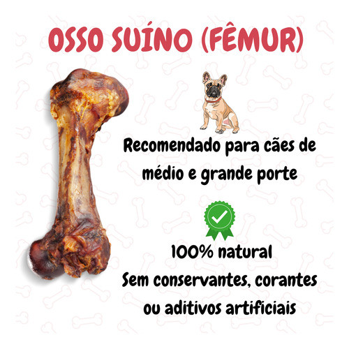 Osso Suíno P/ Cães Petisco Orgânico Mordedor Natural 1 Unid - Fêmur de Porco