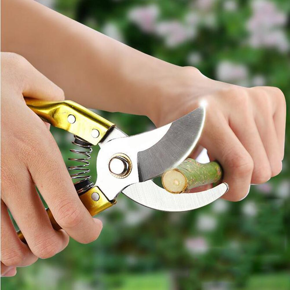 Tesoura de Poda para picotar Grande de 8 polegadas Super Resistente com mola Profissional Promoção