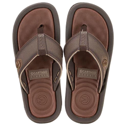 Chinelo Masculino Fiji V Cartago 12335
