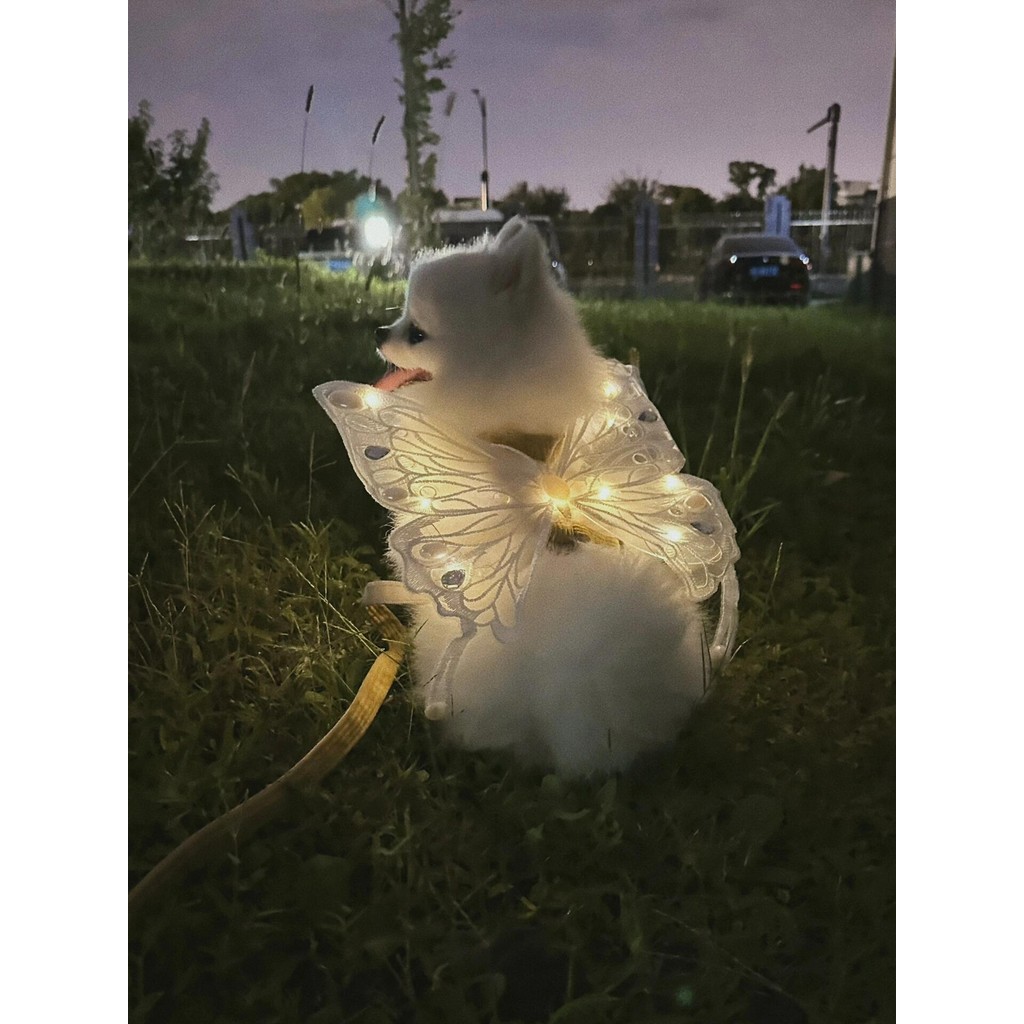 Roupas Para Cães De Verão Asas De Cachorro Borboleta Arreios Luminosos Teddy Pomeranian Puppy Pet Fotográficas Adereços