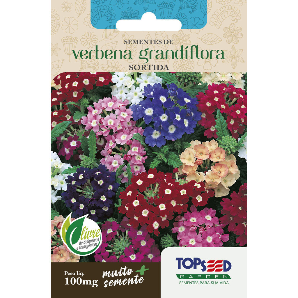 Sementes de Verbena Sortida 100mg Flores Perfumadas Vasos Jardins