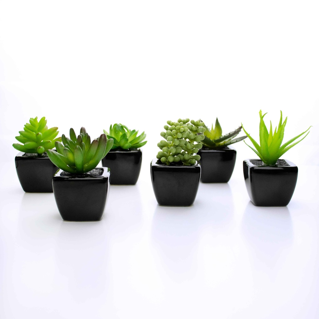 Kit 06 Suculentas Artificial Sortida Vaso Preto 8x4 cm - D'Rossi