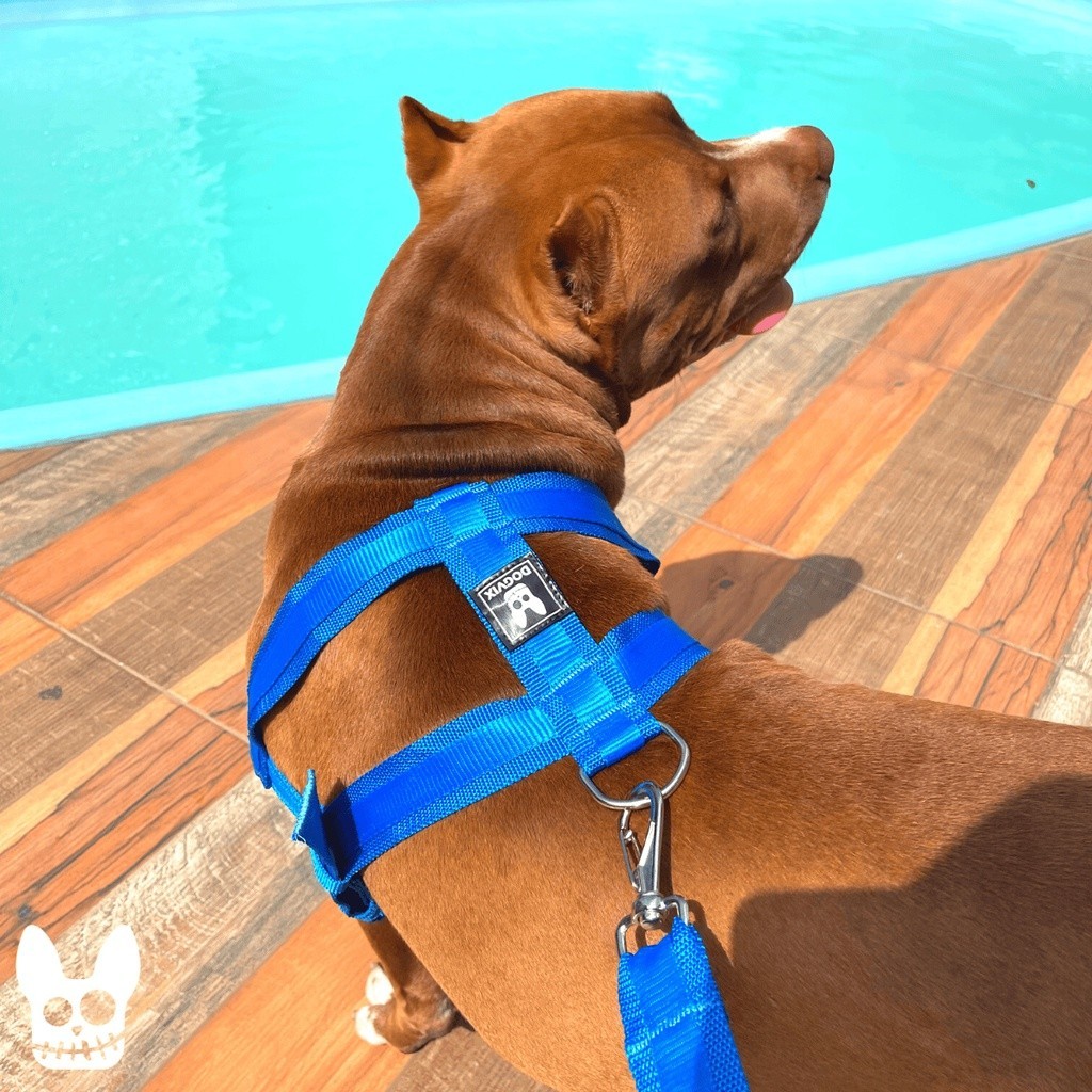Peitoral Coleira + Guia Para Cachorro Resistente Seguro Confortável Pet em Oferta na Shopee