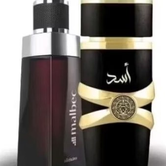 combo masculino arrasador 02 perfumes tendência 200mls
