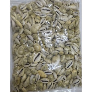 Buzios Natural Medio + Pequeno (gema) pacote 500 grs em Oferta na Shopee