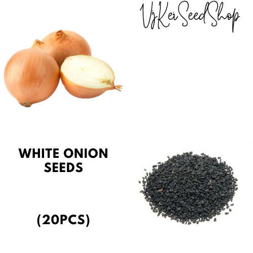 Sementes de Cebola Branca (20pcs)
