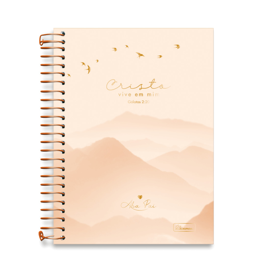 Caderno 01 Matéria Colegial Aba Pai 80 Folhas - CADERSIL CAPAS:LARANJA em Oferta na Shopee