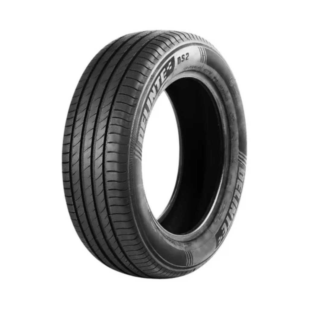 Pneu Delinte Aro 17 205/55 ZR17 95W XL DS2