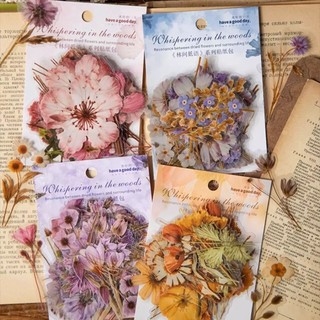 50 Pçs Adesivos De Flores Naturais Auto-Adesivo PVC Natureza Floral Para Scrapbook Portátil Diário DIY Projeto Primavera