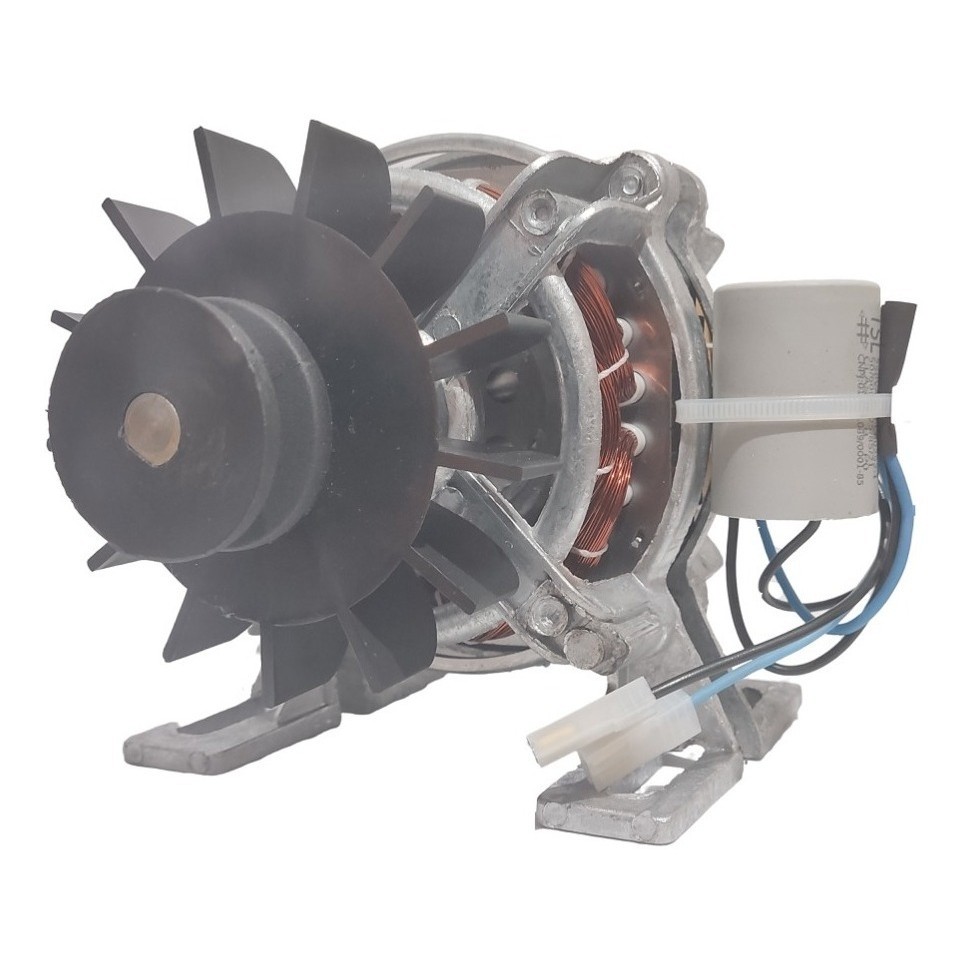 Motor De Tanquinho Cimento Newmaq Libell Clean Pop Fioreta Suggar Colormaq Lave Até 13kg