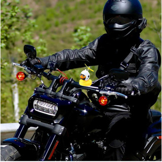 Patos bonitinhos patinho Decoração de bicicletacapacete carro motocicleta pato com pisca