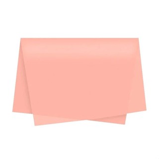 Papel de Seda - 50x70cm - Nude - 100 unidades - Rizzo em Oferta na Shopee