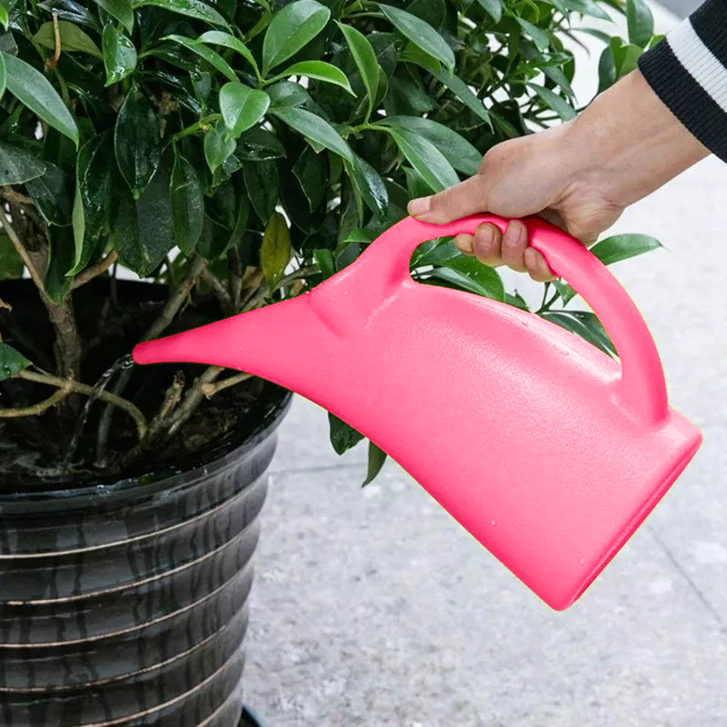 Regador Plástico Bico Fino Para Bonsai Jardim 3litros