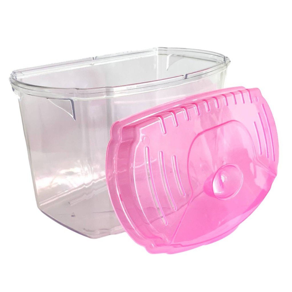 Beteira Aquário Plástico para Betta 4,2L Pequeno