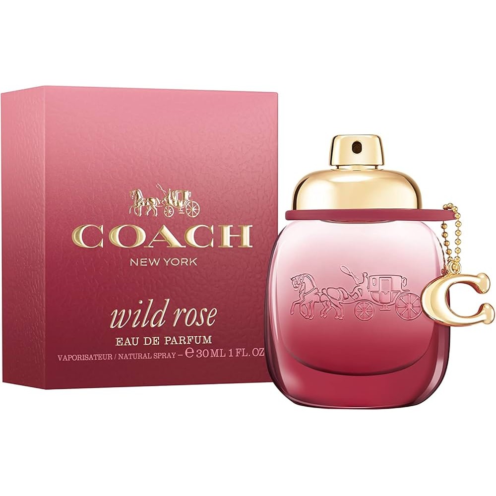 Wild Rose Perfume: Onde Comprar | BuscaProdutos