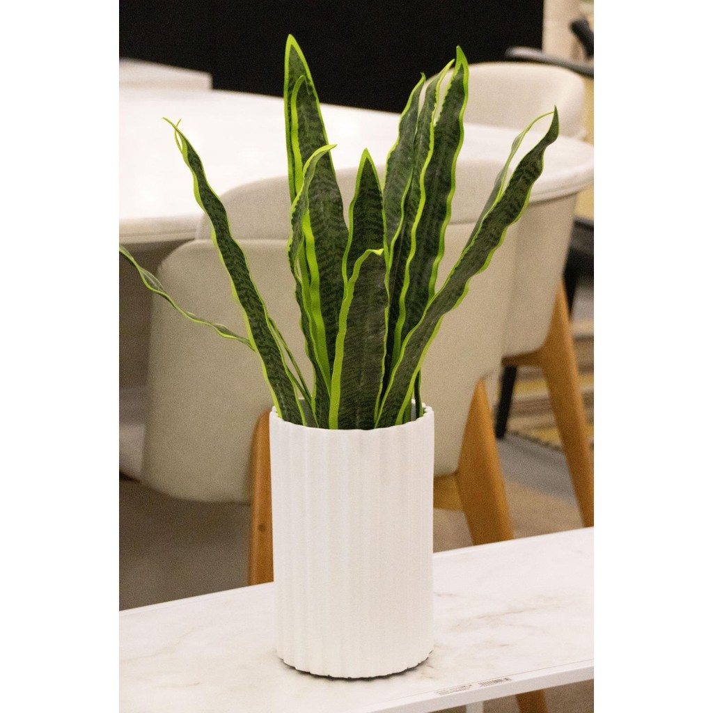 Folha Espada De São Jorge Kit Com 6 Unidades 54cm Artificial