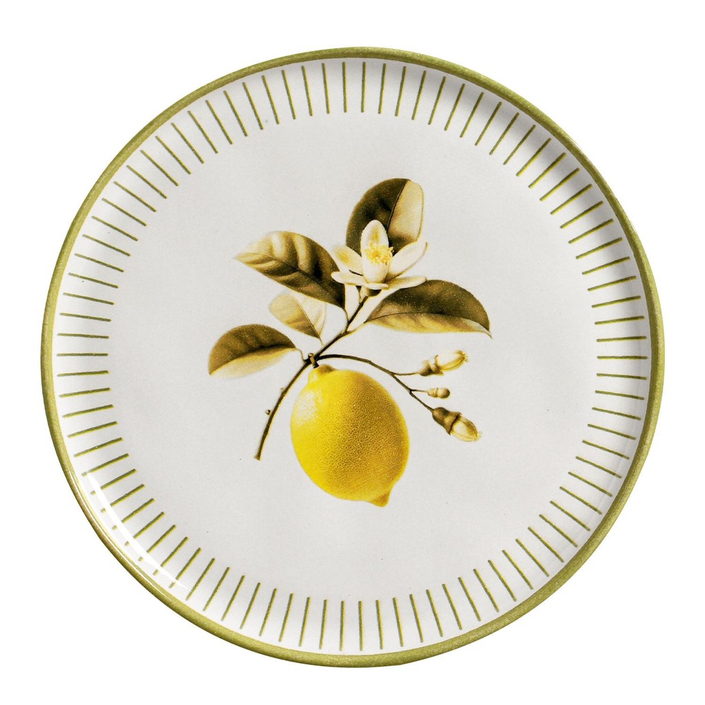 Conjunto com 6 Pratos Raso Bio Lemon
