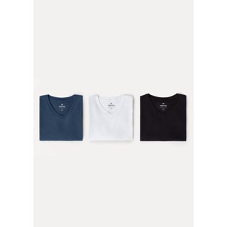 Kit Com 3 Camisetas Masculinas Básicas Slim Gola V