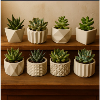 KIT 8 UNIDADES DE VASINHO DECORATIVO DE GESSO, CACTUS E PLANTAS ARTIFICIAS. em Oferta na Shopee