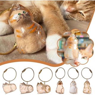 kit 3/6 Chaveiro de pelo de gato, chaveiro criativo de cachorro armazenamento de cabelo, Memória Pet em Oferta na Shopee