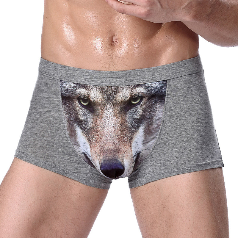 Cueca de Lobo: Guia Completo e Onde Comprar | BuscaProdutos