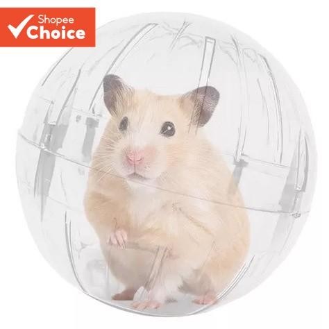 Hamster Cristal Correndo Bola Urso Dourado Esquilo Mel Planador Transparente Take-out Esportes Andando Mouse Artefato