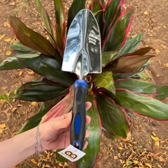 Pá Jardinagem Larga Aço e Cabo Emborrachado Alpe & Aritana