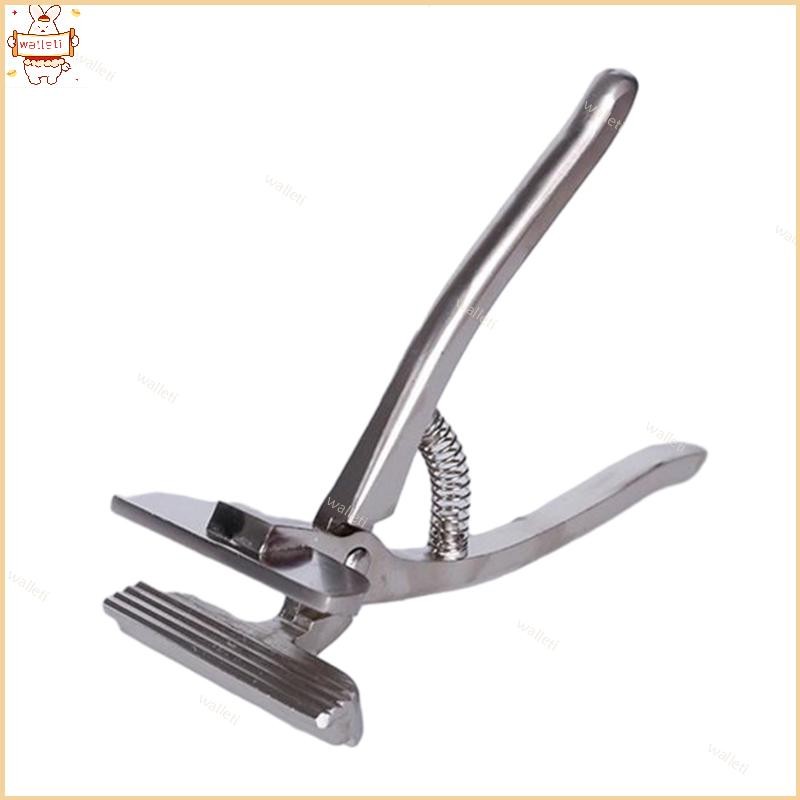 Alicate Lona Ferramentas Ferramenta Enquadramento Braçadeira Pintura A Óleo Artística