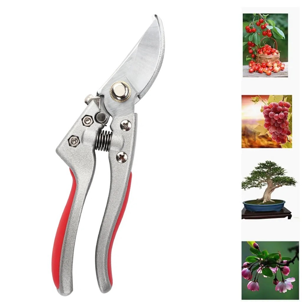 Tesoura De Poda Profissional em Oferta na Shopee