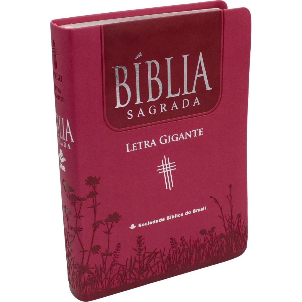 Bíblia Sagrada NTLH | Letra Gigante | Couro Sintético | Rosa Pink em Oferta na Shopee