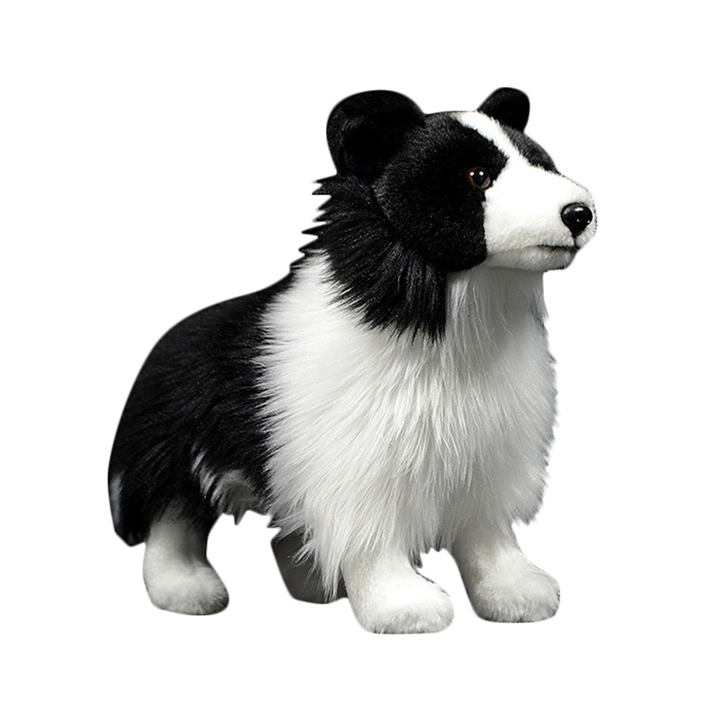 Brinquedos Border Collie: Onde Comprar | BuscaProdutos