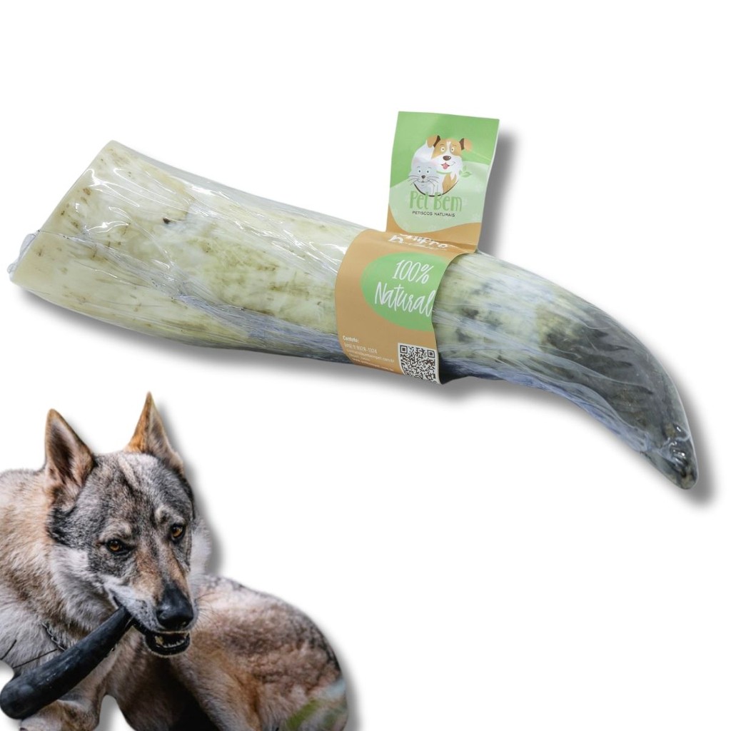 Chifre de Boi Inteiro Mordedor 100% Natural Para Cães Pet Bem 1 Uni