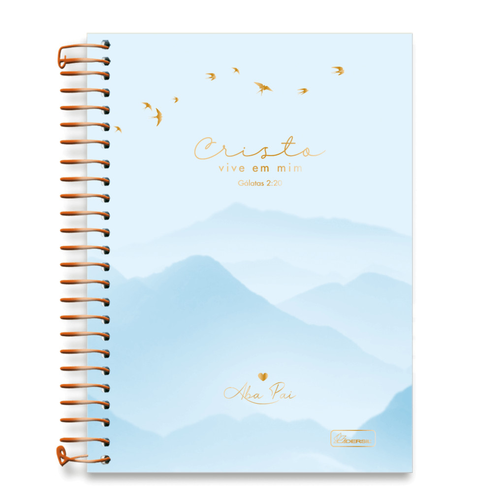Caderno 01 Matéria Colegial Aba Pai 80 Folhas - CADERSIL  CAPAS:AZUL em Oferta na Shopee