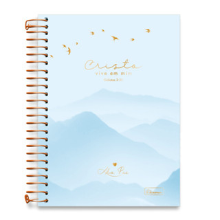 Caderno 01 Matéria Colegial Aba Pai 80 Folhas - CADERSIL  CAPAS:AZUL em Oferta na Shopee