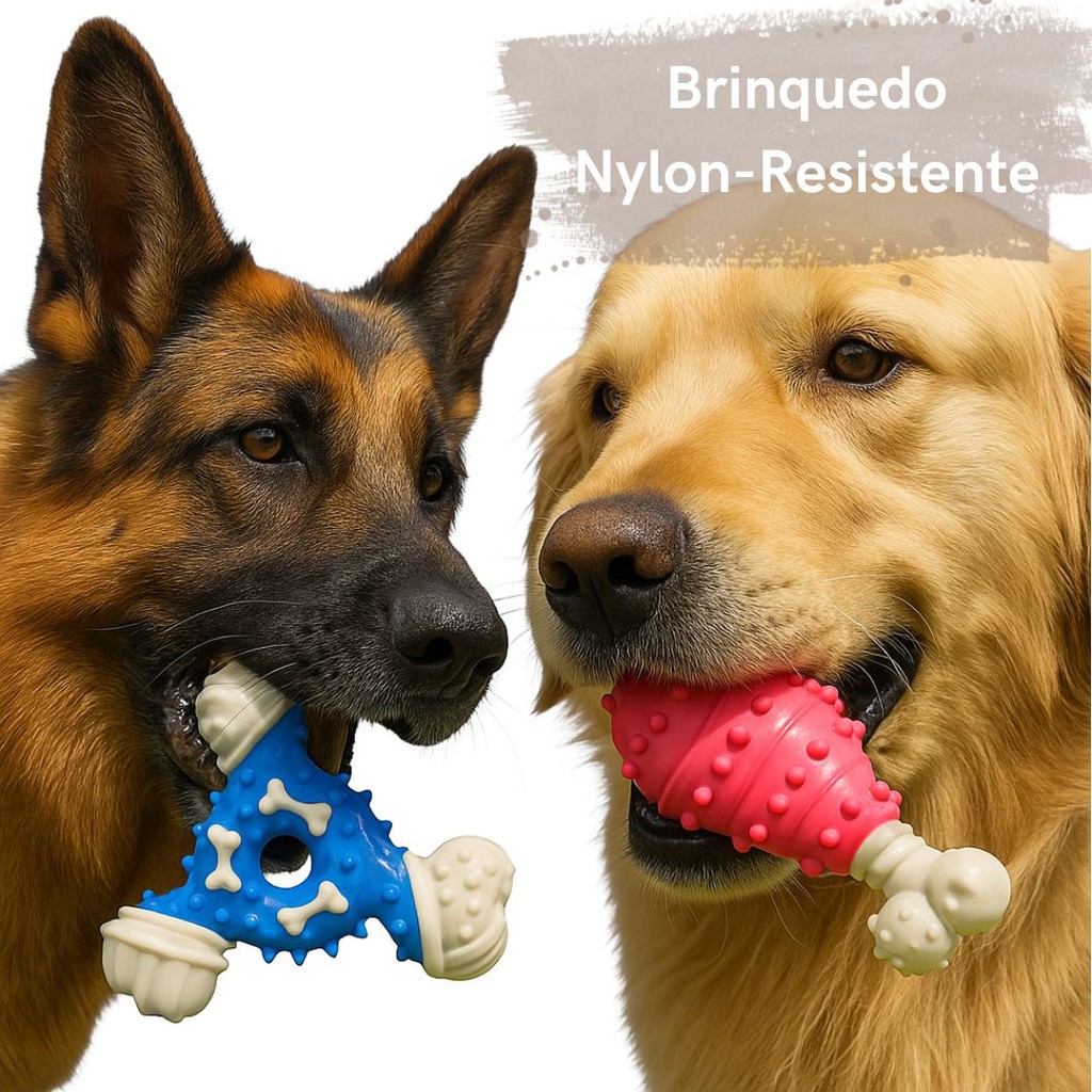 Brinquedo Nylon Duro: Onde Comprar | BuscaProdutos
