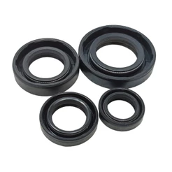 Kit Retentor Motor Cg 125 Cargo Fan Ks Es 2009 a 2015 Cg 150 Titan Es Esd 2004 a 2008 Crf 150 F 2012