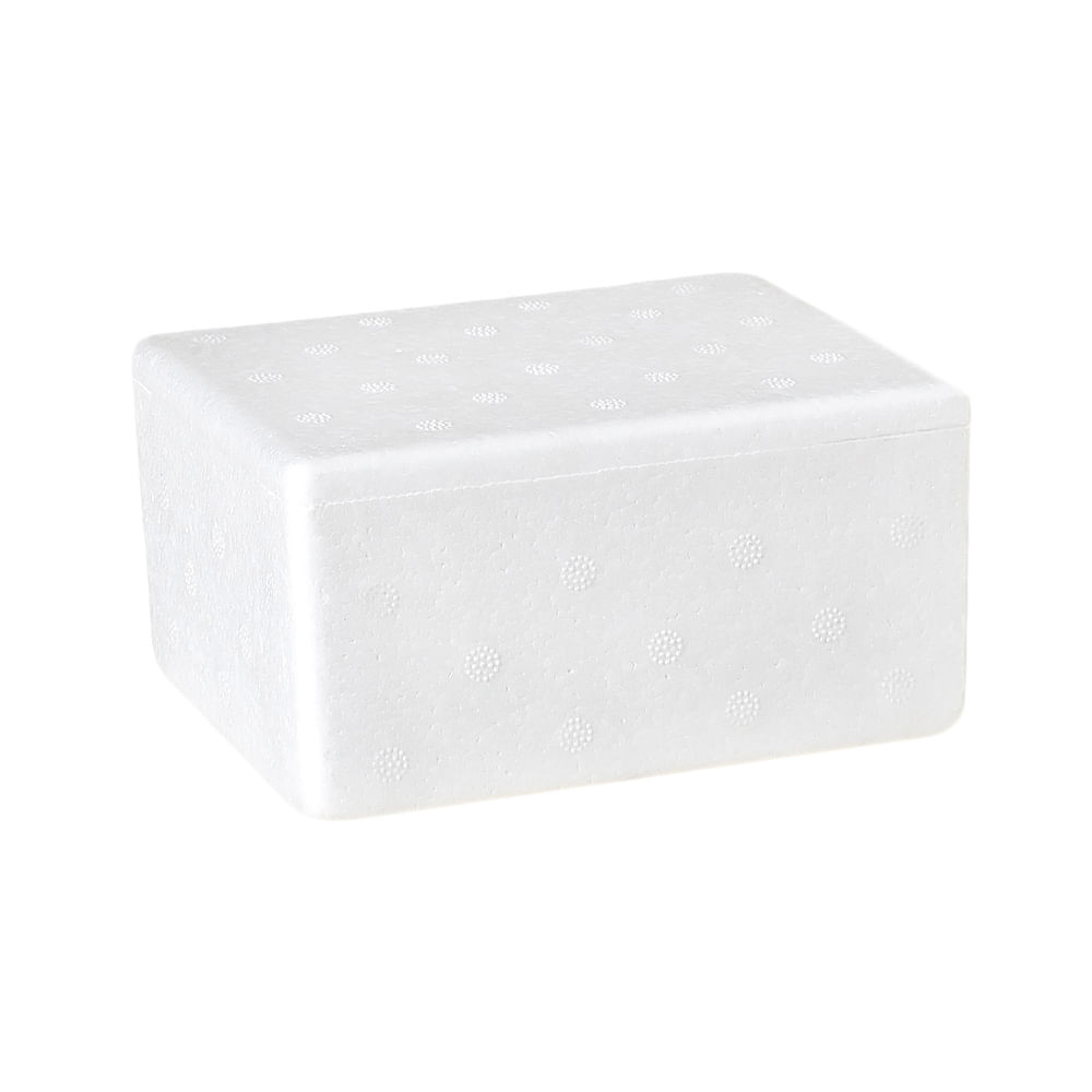 Caixa Térmica Isopor 500g - Home & Living