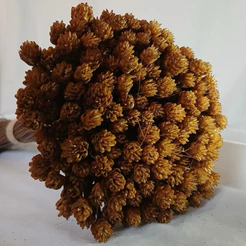 1000 Botão Rústico Flor Seca Desidratada Decoração Sala Casamento Arranjo Florzinhas Sempre Vivass