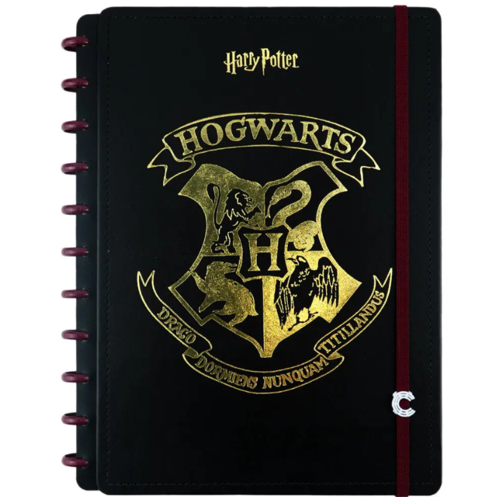 Caderno Inteligente Grande 20x27cm 80 Folhas Harry Potter Jandaia - 1 Unidade - Stationery