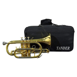 Trompete SI Bemol Laqueado com Case em Oferta na Shopee