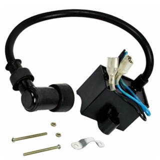 Cdi Do Motor De Bicicleta Universal 50cc 60cc 80cc em Oferta na Shopee