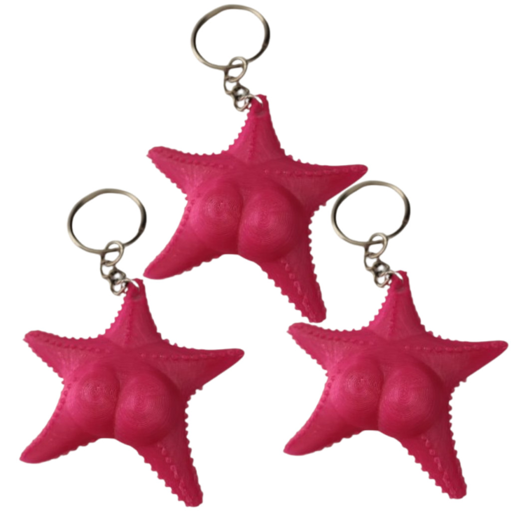 Kit 3 Chaveiros Estrela-do-Mar Divertida – Modelo “Bunduda” Criativo e Colecionável
