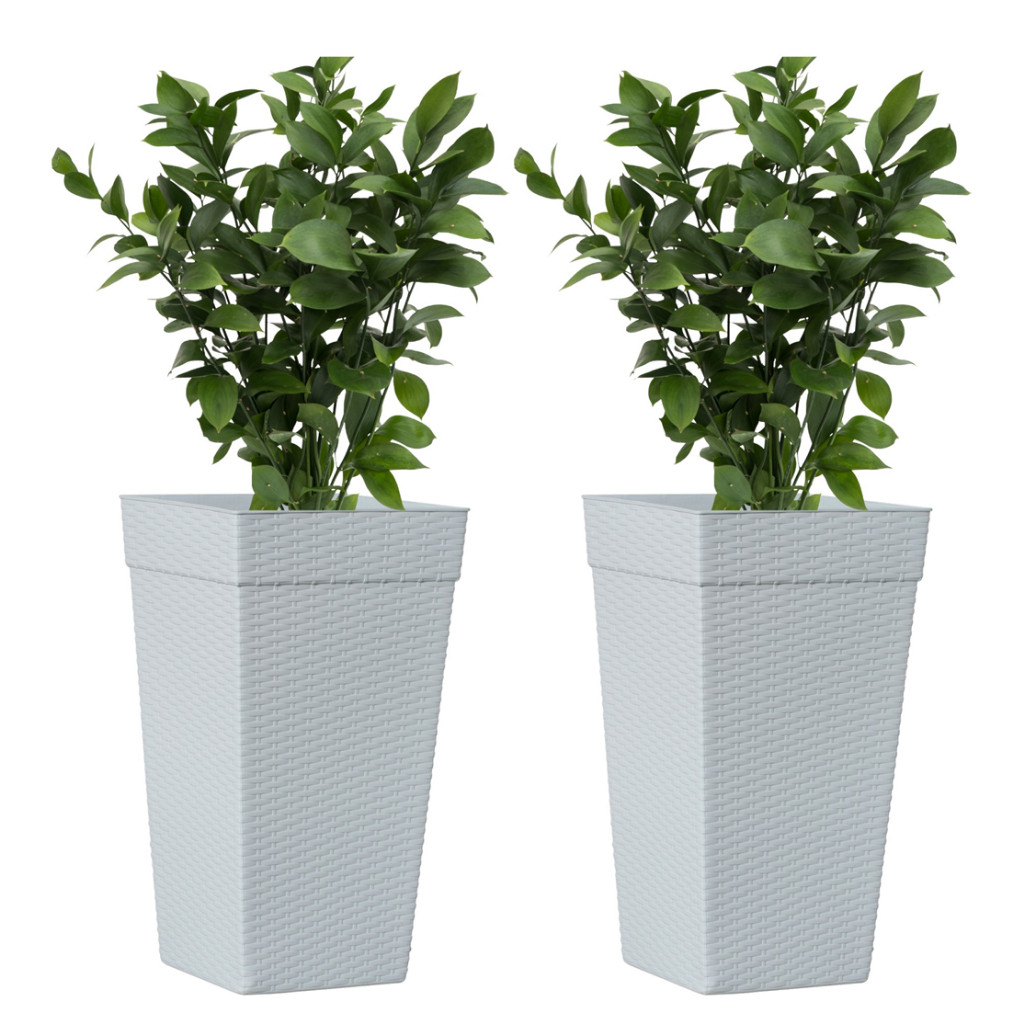 Vasos Branco para Plantas: Onde Comprar | BuscaProdutos