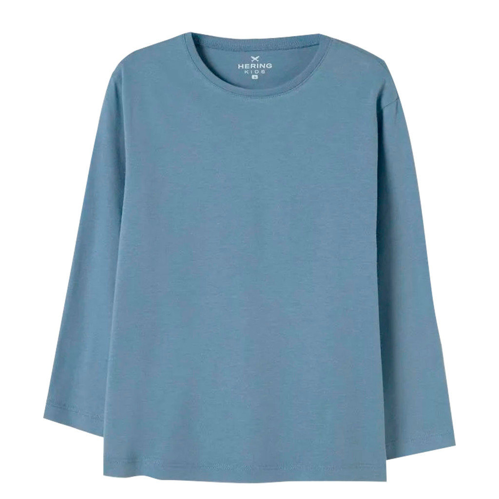 Camiseta Básica Hering Kids  Infantil Menino Toddler Manga Longa Azul